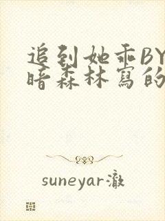 追到她乖BY黑暗森林写的小说