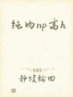 纯肉np高h