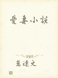爱妻小说