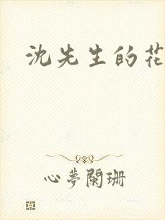 沈先生的花式调