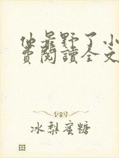 他最野了小说免费阅读全文