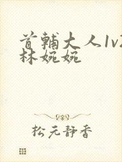 首辅大人1v2林婉婉