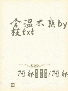 含温不熟by词枝txt