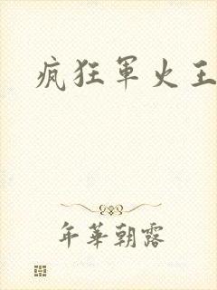疯狂军火王