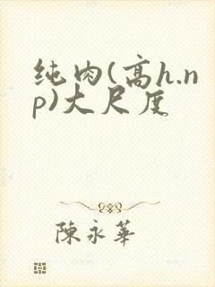 纯肉(高h.np)大尺度