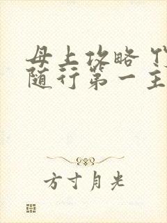 母上攻略 竹影随行第一主板