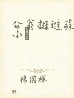 公翁挺进苏玥的小泬