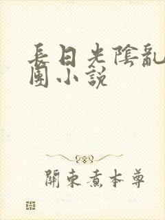 长日光阴乱作一团小说