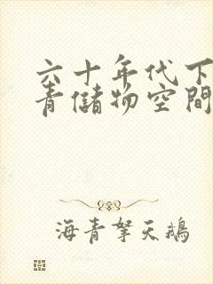 六十年代下乡知青储物空间