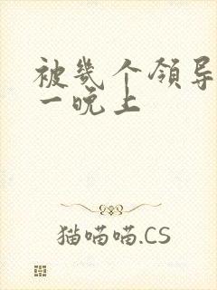 被几个领导玩弄一晚上