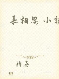 长相思 小说