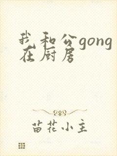 我和公gong在厨房