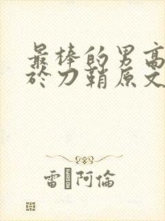 最棒的男高中生于刀鞘原文阅读