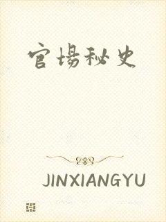 官场秘史