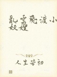 乱云飞渡小说之姣嫂