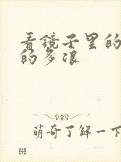 看镜子里的你叫的多浪