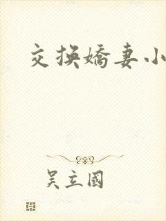 交换娇妻小说