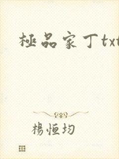 极品家丁txt