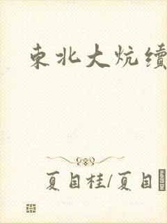 东北大炕续