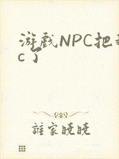 游戏NPC把我c了