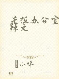 老板办公室系列辣文