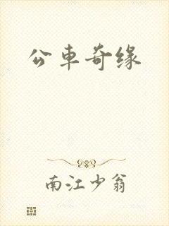 公车奇缘