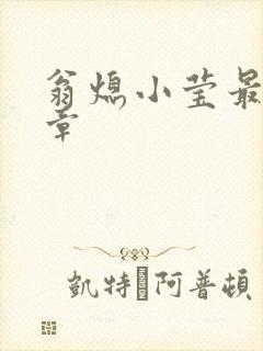 翁熄小莹最新节章