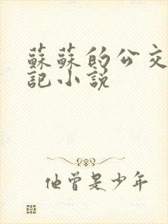 苏苏的公交车日记小说