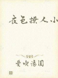 夜色撩人小说