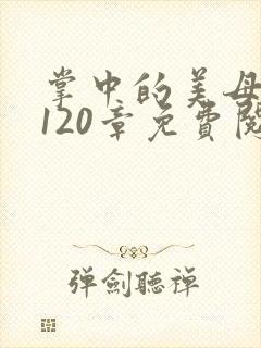 掌中的美母版主120章免费阅读