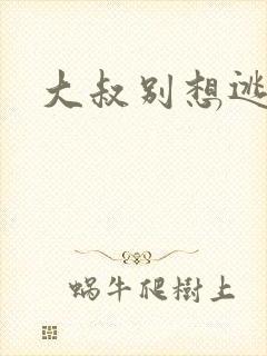 大叔别想逃