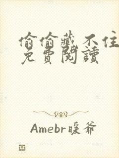 偷偷藏不住小说免费阅读