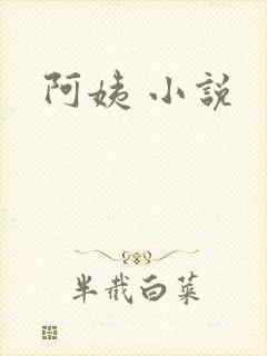 阿姨 小说