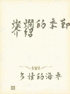 灿烂的季节剧情介绍