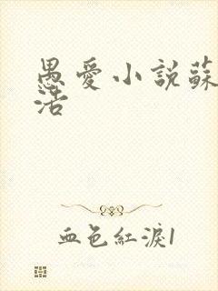 愚爱小说苏倩孙浩