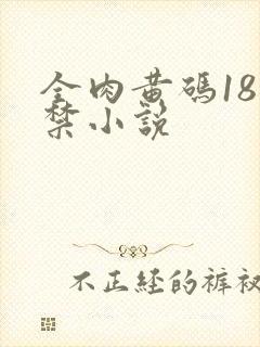 全肉黄码18无禁小说