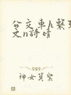 公交车h系列辣文n诗晴