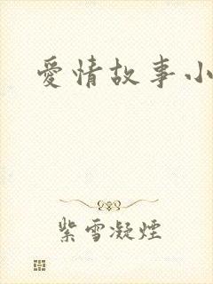 爱情故事小说