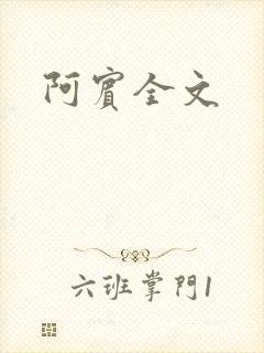 阿宾全文