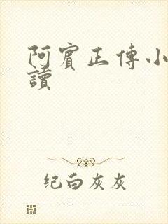 阿宾正传小说在读