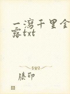 一泻千里金银花露txt