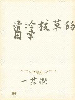 清冷校草的抹布日常