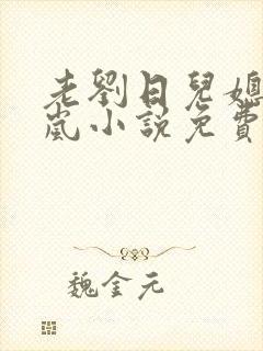 老刘日儿媳妇张岚小说免费阅读