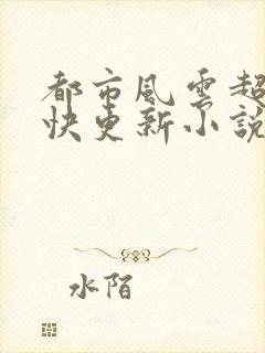 都市风云超前超快更新小说
