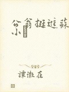公翁挺进苏玥的小泬