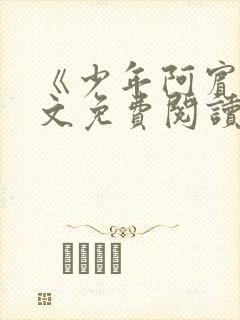 《少年阿宾》全文免费阅读