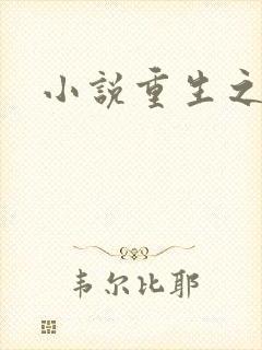 小说重生之官道