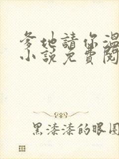 爹地请你温柔点小说免费阅读