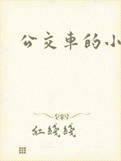 公交车的小说