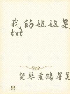 我的姐姐是美女txt
